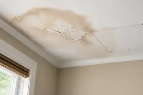 A brown water stain spreading across a ceiling beside a window