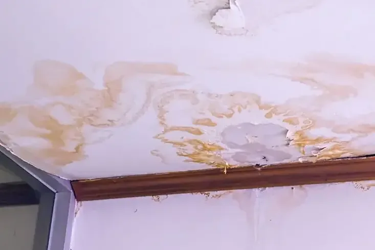 Peeling, stained ceiling paint under a leaking roof